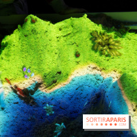 Aquarium Sea Life - IMG 8367