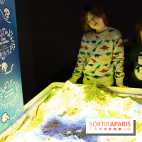 Aquarium Sea Life - IMG 8371