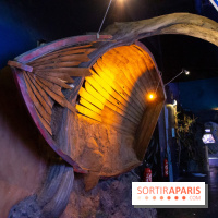 Aquarium Sea Life - IMG 8348