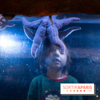 Aquarium Sea Life