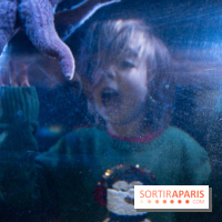 Aquarium Sea Life - IMG 8341