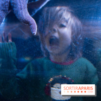 Aquarium Sea Life - IMG 8342