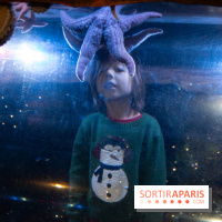 Aquarium Sea Life - IMG 8335