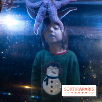 Aquarium Sea Life - IMG 8336