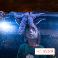 Aquarium Sea Life - IMG 8337