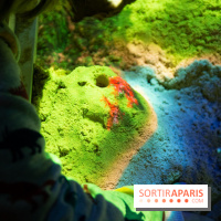 Aquarium Sea Life - IMG 8322