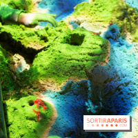 Aquarium Sea Life - IMG 8324