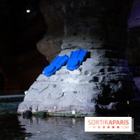 Aquarium Sea Life - IMG 8288