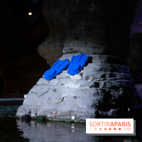 Aquarium Sea Life - IMG 8289