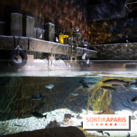 Aquarium Sea Life - IMG 8293