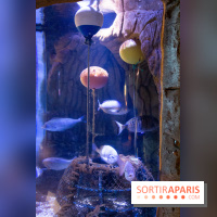 Aquarium Sea Life - IMG 8280