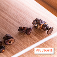 Château et atelier Rosa Bonheur à Thomery - photos -  A7C8097