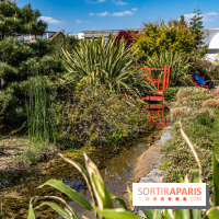 Square Médéric Colombes - jardin japonais 92 -  A7C9938