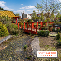 Square Médéric Colombes - jardin japonais 92 -  A7C9957