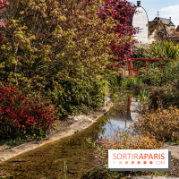 Square Médéric Colombes - jardin japonais 92 -  A7C9982
