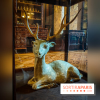 Le Musée d'Ennery, un lieu incroyable et secret à deux pas de l'Arc de Triomphe - IMG20230411110202