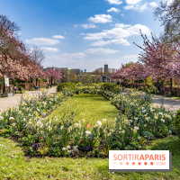 Parc de Bécon à Courbevoie - Pavillon des Indes - Cerisiers en fleurs