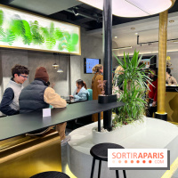 Tea Space - Décoration