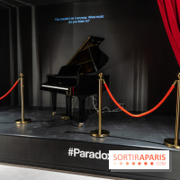 Paradox Museum Paris - les photos -  A7C0743