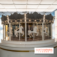 Paradox Museum Paris - les photos -  A7C0791