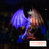 Harry Potter l'exposition dragon