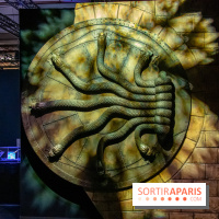 Harry Potter l'exposition chambre des secrets