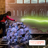 Harry Potter l'exposition sortilège