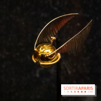 Harry Potter l'exposition vif d'or quidditch