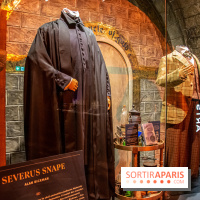 Harry Potter l'exposition cours de potions