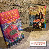 Harry Potter l'exposition livres