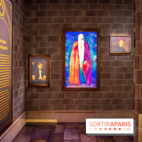 Harry Potter l'exposition tableaux