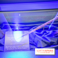Harry Potter l'exposition baguette