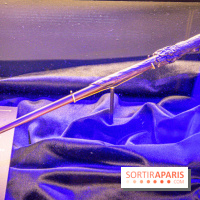 Harry Potter l'exposition baguette harry