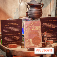 Harry Potter l'exposition cours de potions