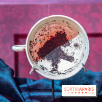 Harry Potter l'exposition divination tasséomancie