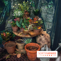 Harry Potter l'exposition cours de botanique