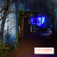 Harry Potter l'exposition forêt interdite