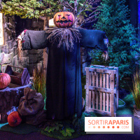 Harry Potter l'exposition forêt interdite