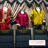 Harry Potter l'exposition tournoi des trois sorciers