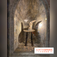 Harry Potter l'exposition choixpeau