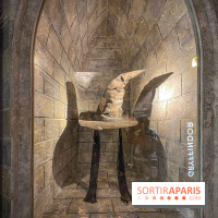 Harry Potter l'exposition choixpeaux