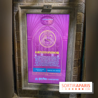Harry Potter l'exposition points griffondor