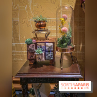 Harry Potter l'exposition poufsouffle