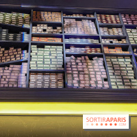 Harry Potter l'exposition baguette