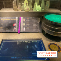 Harry Potter l'exposition cours de potions