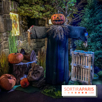 Harry Potter l'exposition cabane de hagrid