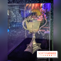 Harry Potter l'exposition coupe de feu tournoi des trois sorciers