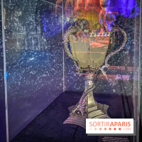 Harry Potter l'exposition coupe de feu tournoi des trois sorciers