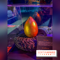 Harry Potter l'exposition tournoi des trois sorciers