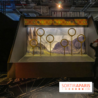 Harry Potter l'exposition quidditch